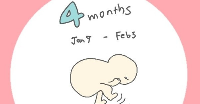 妊娠絵日記：4ヶ月目「不安と笑いが同時に来た」
