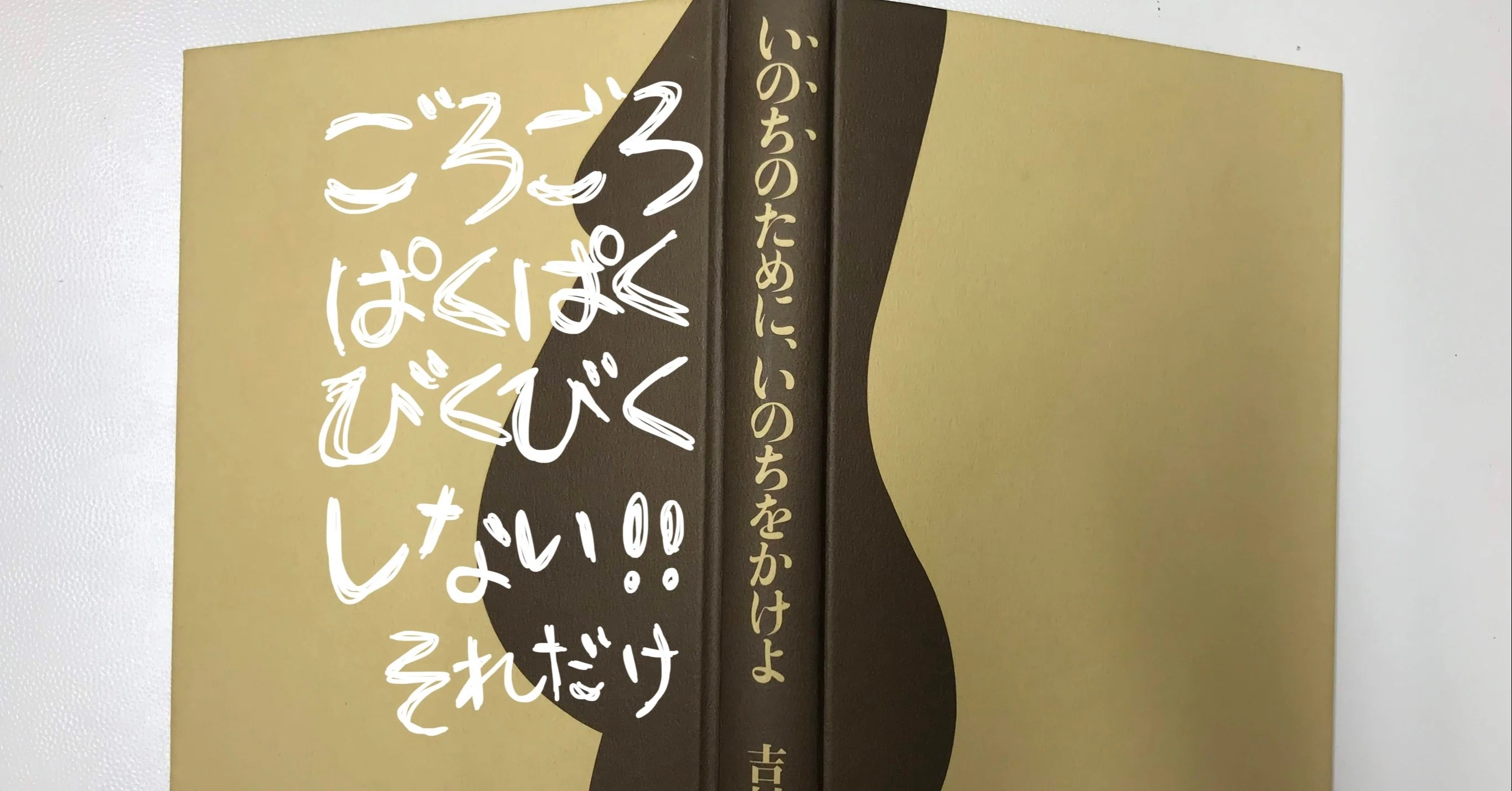 ごろごろ ぱくぱく びくびくしない あかりのマタニティ日記vol 16 Happy薬剤師 はとりあかり 漢方 子宝相談 Note