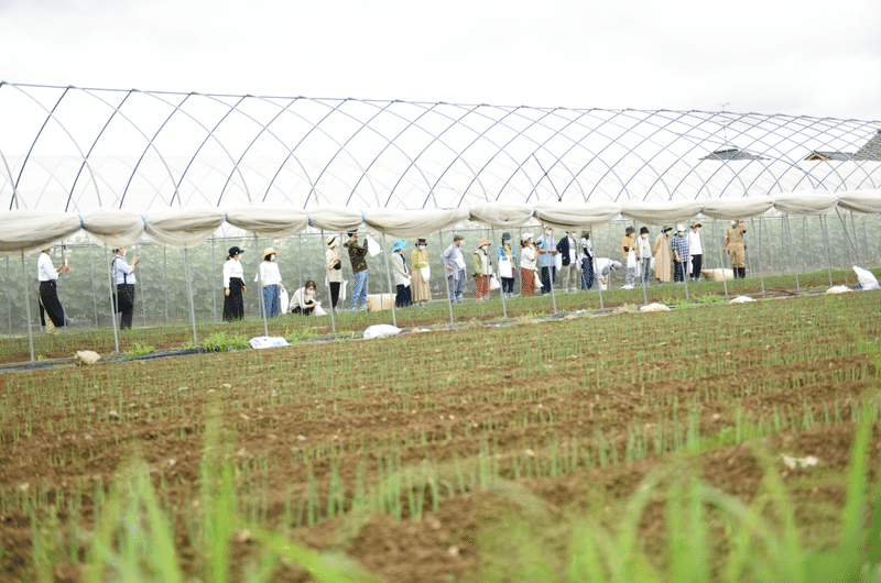 かっぱ麺 って何 日本一 のきゅうり産地でランチツアー 孫の手トラベル Note