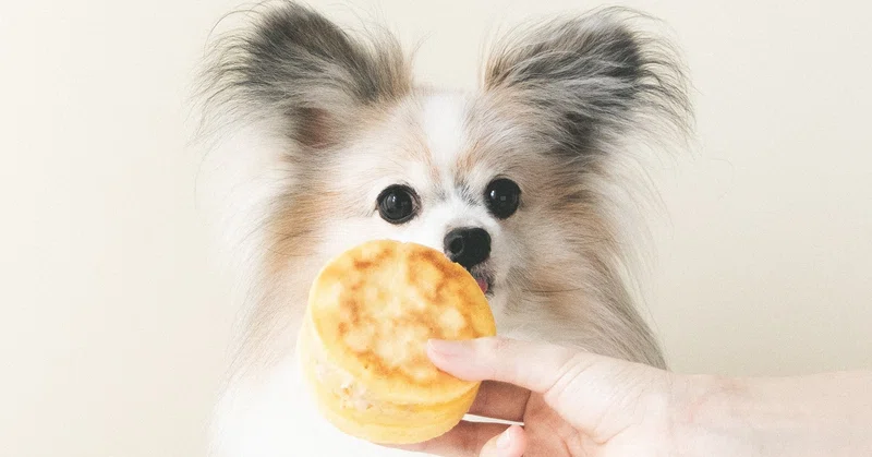 フライパンで焼ける バナナヨーグルトの今川焼 手作り犬おやつレシピ 単品購入 いちかわあやこ 犬ごはん先生 Note