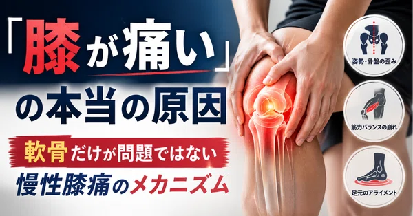 膝が痛いの本当の原因｜軟骨だけが問題ではない慢性膝痛のメカニズム
