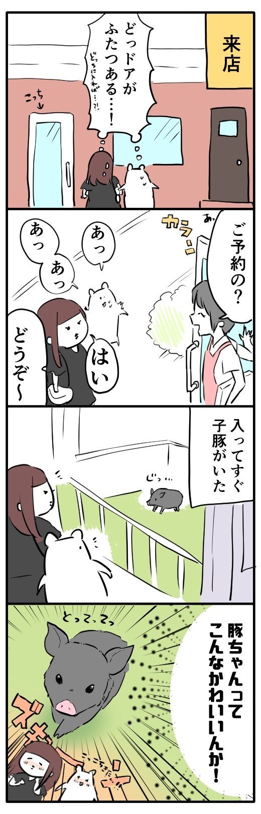 神戸の小動物ふれあいレポ_030