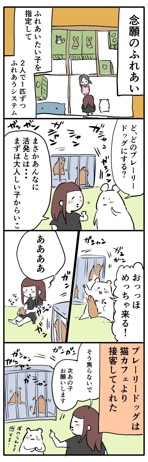 神戸の小動物ふれあいレポ_032