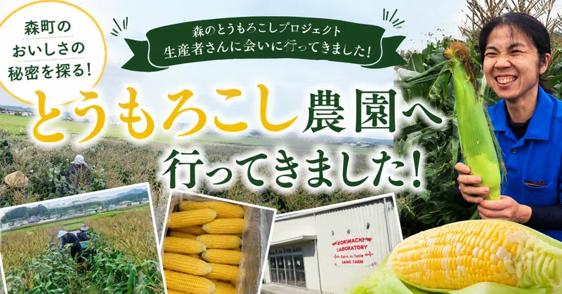 早朝5時30分、とうもろこし畑へ。森町のおいしさの秘密を探ってきました！