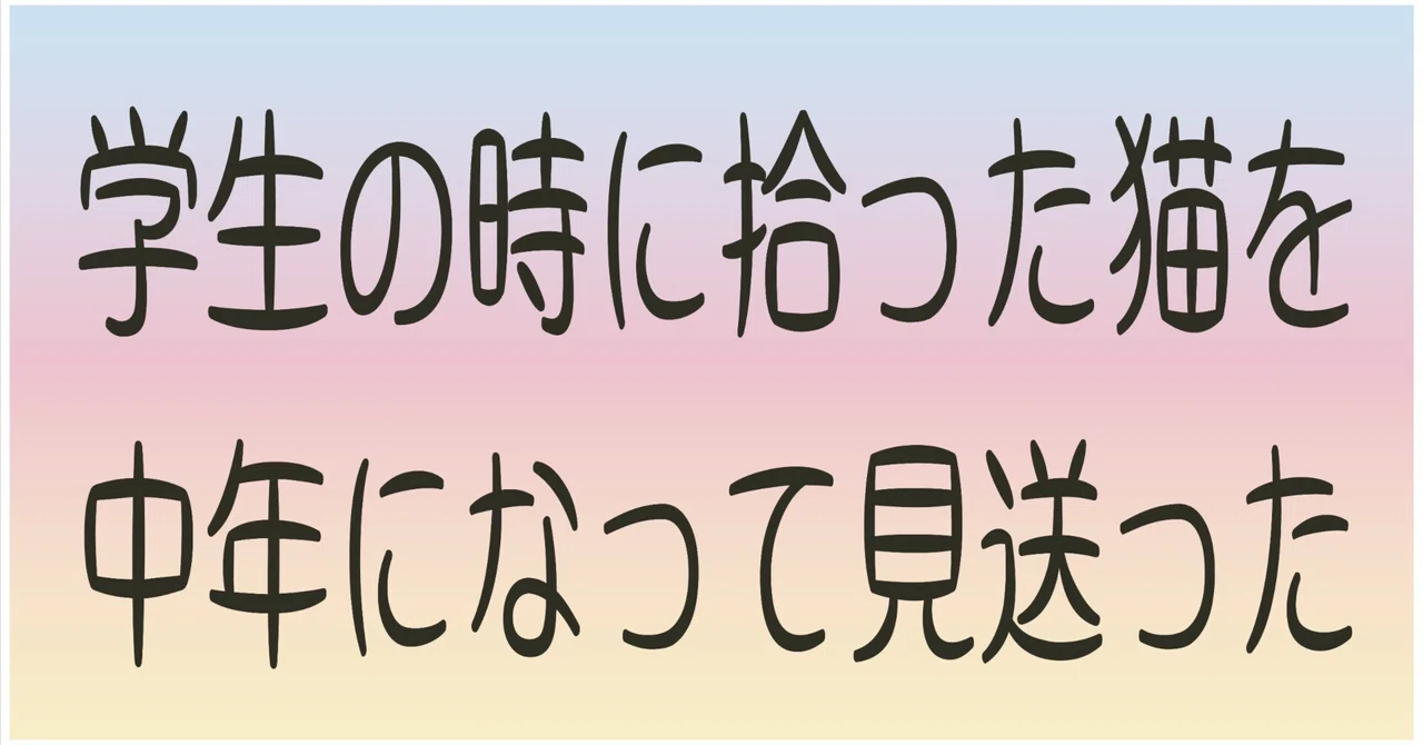 見出し画像