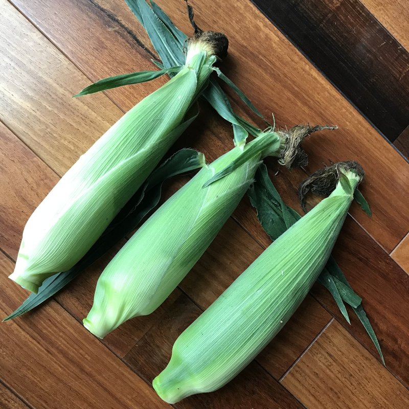 とうもろこしのひげ Roco Note