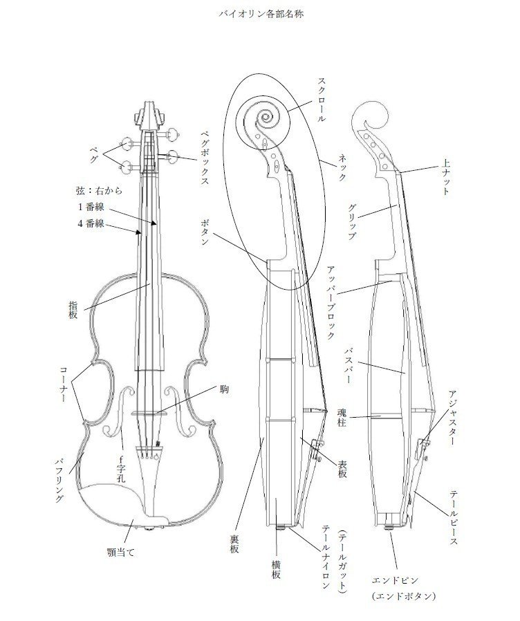 バイオリン各部名称