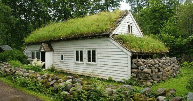 スカンジナビアの草屋根