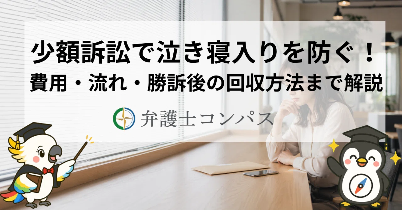 少額 訴訟 泣き寝入り