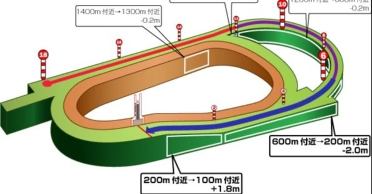7/11(土) 阪神競馬場 馬場状態＆全レースコース分析+α 随時更新｜JRDB