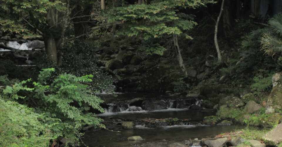 フライフィッシングと投げる距離 佐久間 功 Note