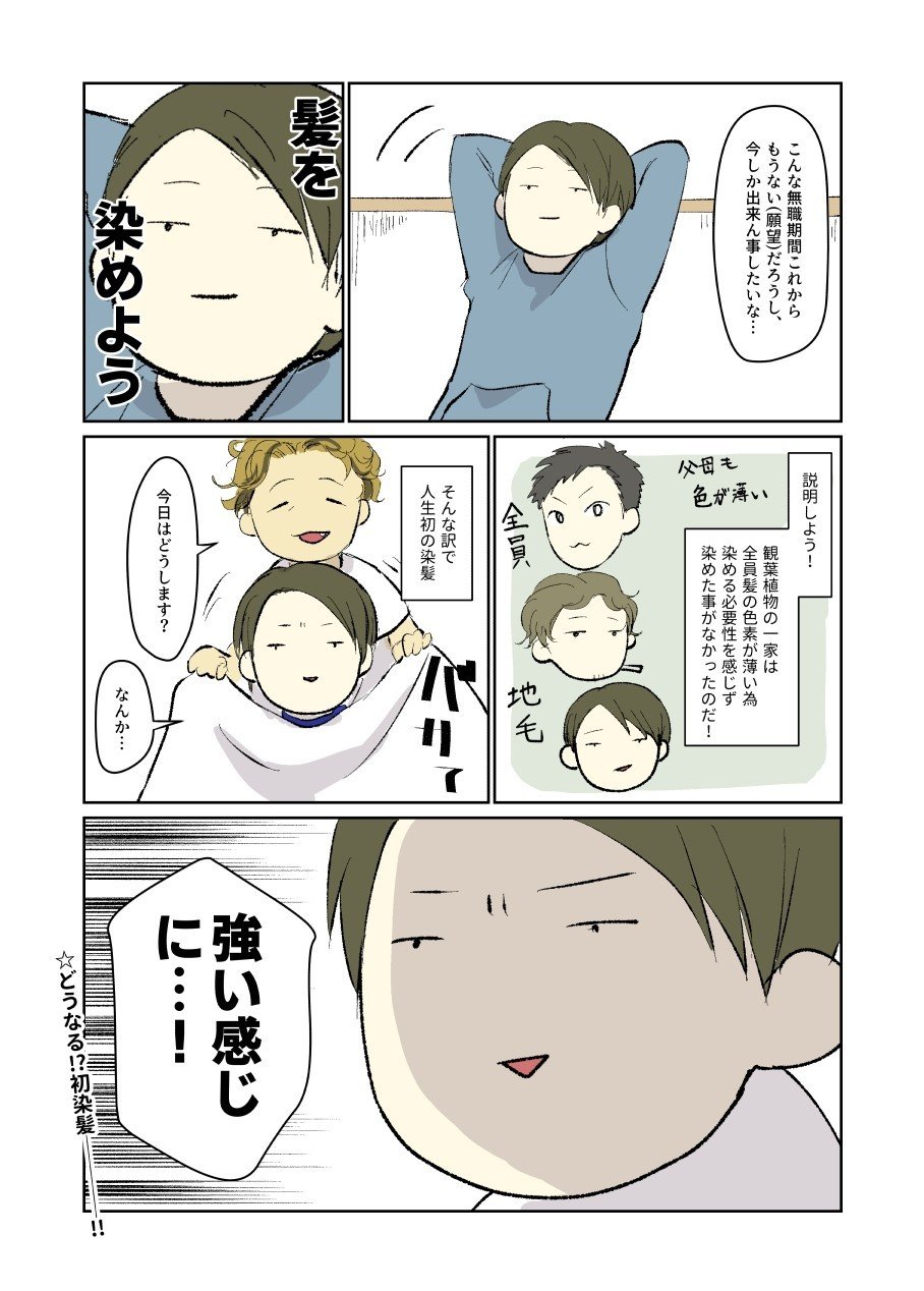 無職 髪染めるってよ 観葉植物 Note