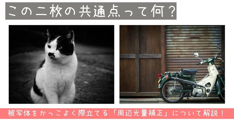 被写体を際立たせる 周辺光量補正を駆使して写真全体の印象を大きく変えよう Hisaki Note