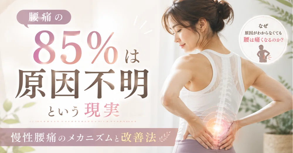 慢性腰痛のメカニズムと改善法