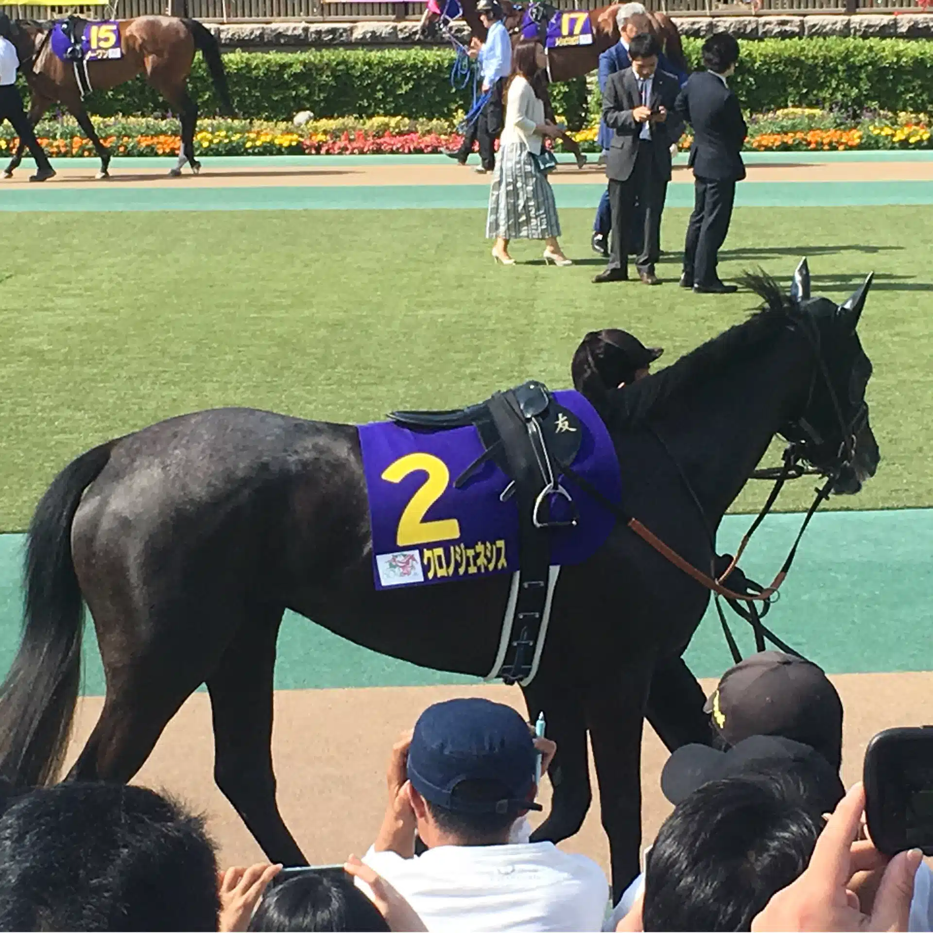 井下大活躍