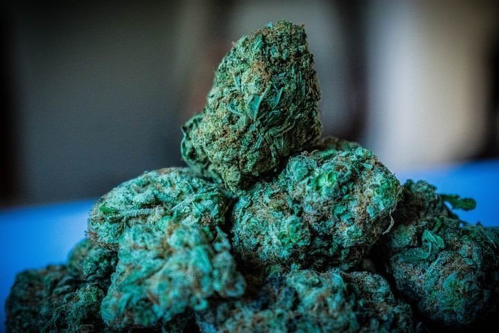 大麻取締法について N Note 大麻取締法について N Note