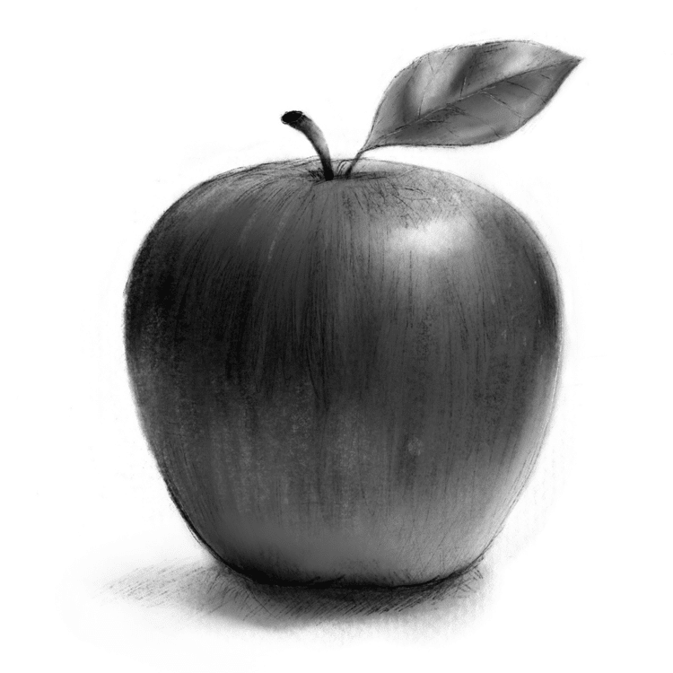 #ApplePencil #Procreate #illustration