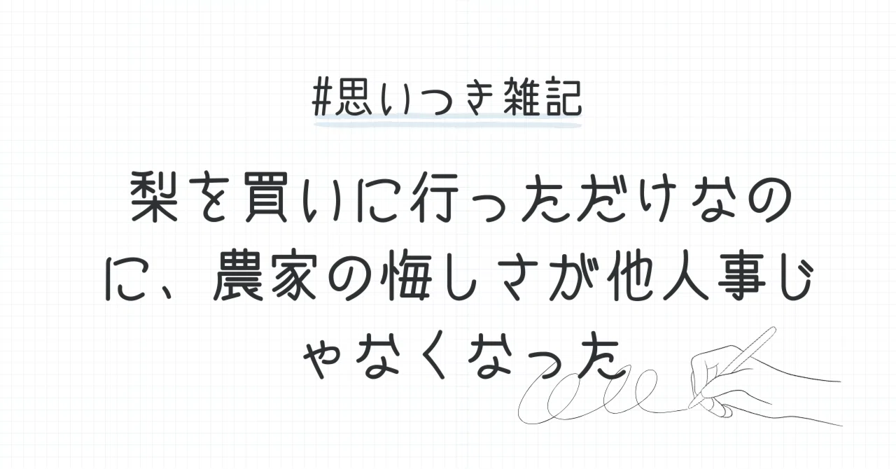 見出し画像