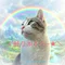 上藤あきを
