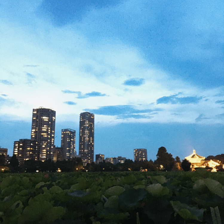 20200710今日の空
ブログ更新しました✨https://ameblo.jp/haru-20200608/entry-12610187431.html

＃空　＃夕日　＃スキしてみて