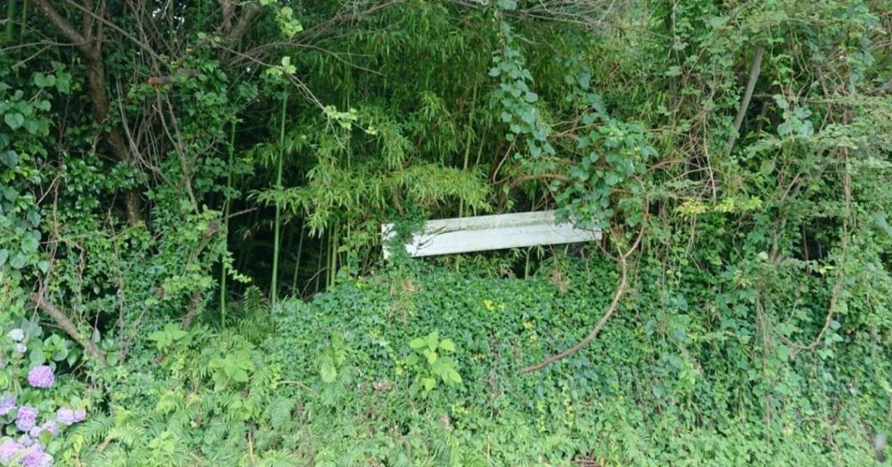 夏の日の1993 しらすとか留めてるあれの見つけにくい方 Note