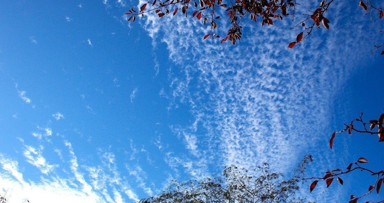 ブーメランの法則 愚痴文句悪口を本気でやめてみたらどうなったか ふわまる Note