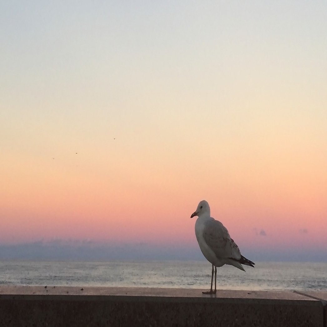 ストーリー・オブ・マイライフ／わたしの若草物語（ネタバレ）｜mky, image size:2000x1047