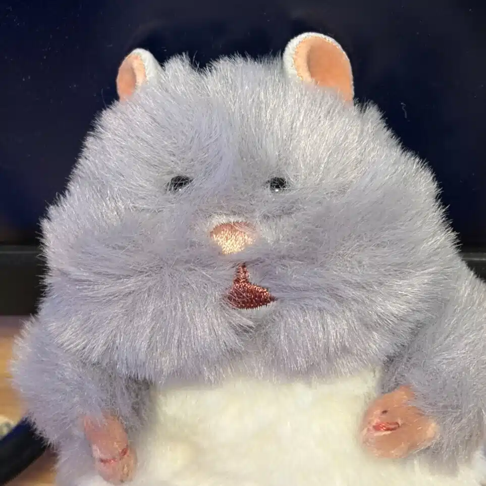 まるもち