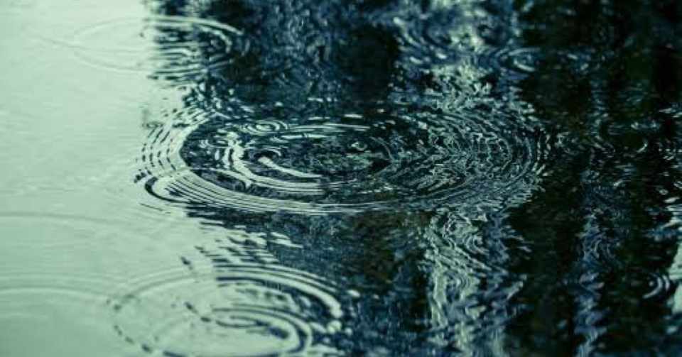 可愛いジッポが雨の中私を待っていた話 サミライ Note