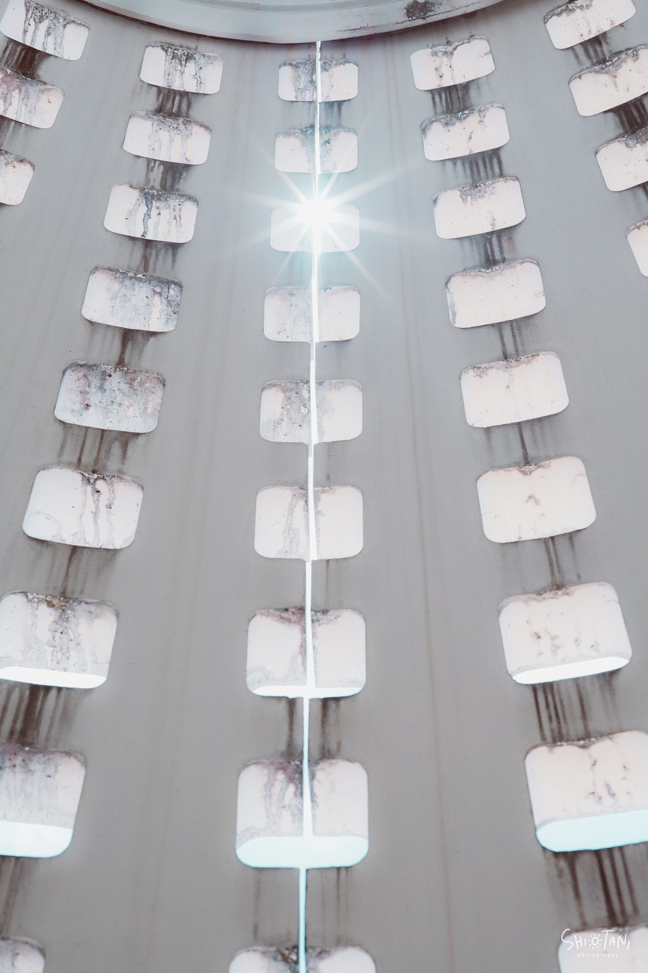 極上の切れ味を体感せよ Voigtlander MACRO APO-LANTHAR 65mm F2