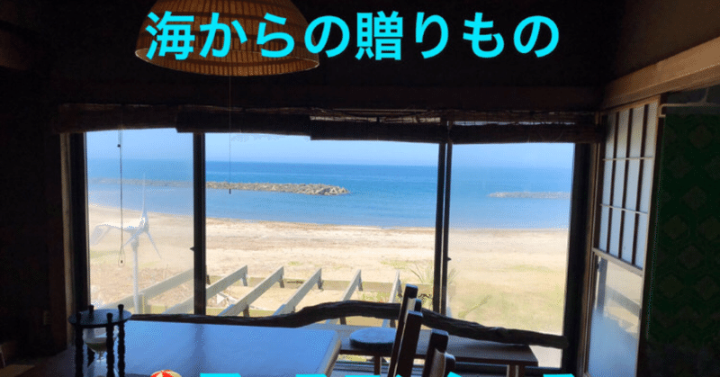 海🏖に導かれて始めたこと