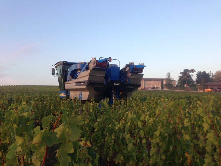 Haut Médoc, Bordeaux, France