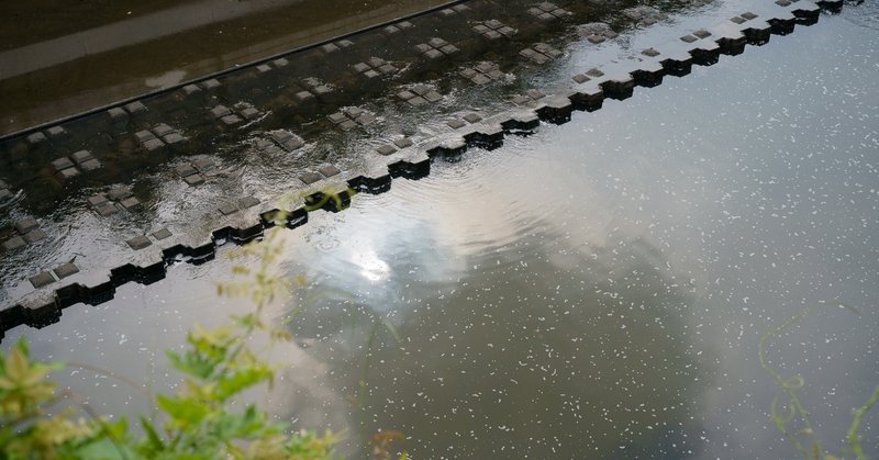 悩む のは時間の無駄である 氏家 Ujiie Note