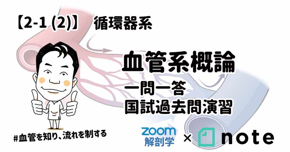 2 1 2 循環器系 血管系概論 一問一答 国試過去問演習 黒澤一弘 Note