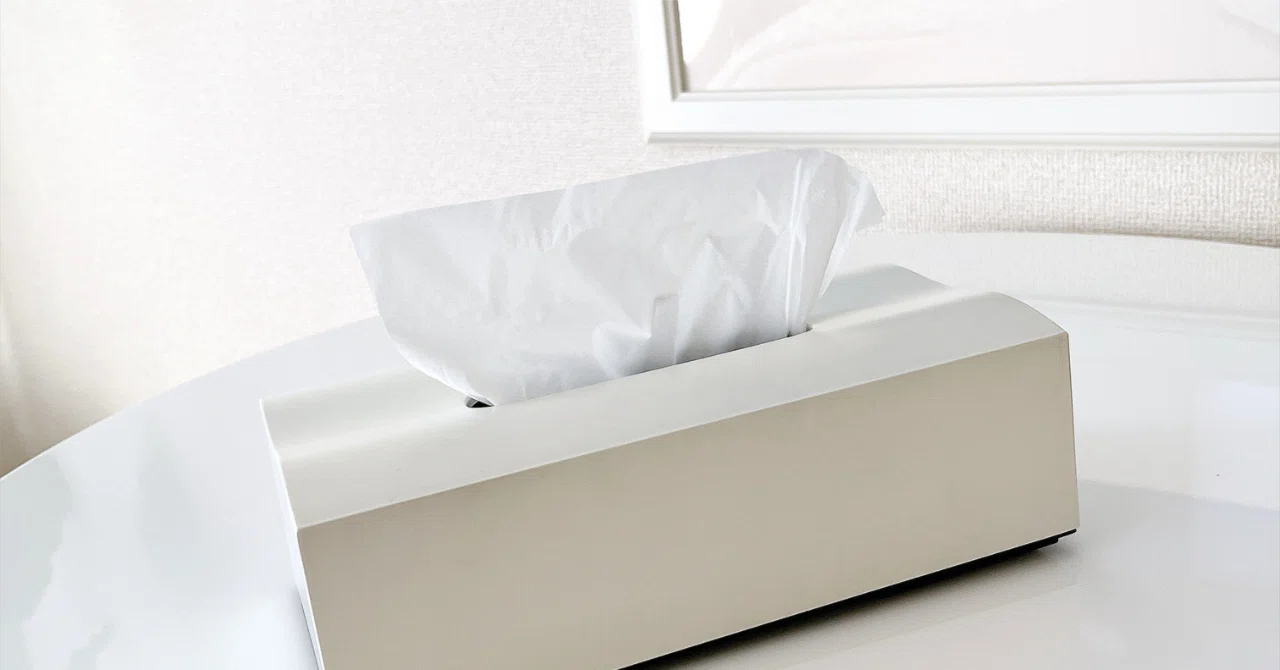 Finally Settled: Where to Keep Tissues｜美ニマル.R