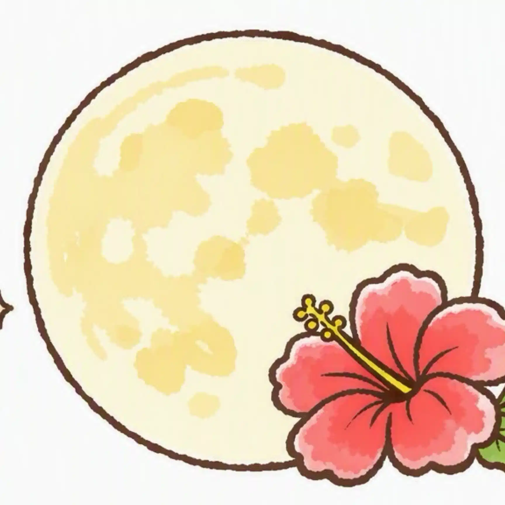 南 満月｜エッセイスト