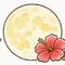 南 満月｜エッセイスト