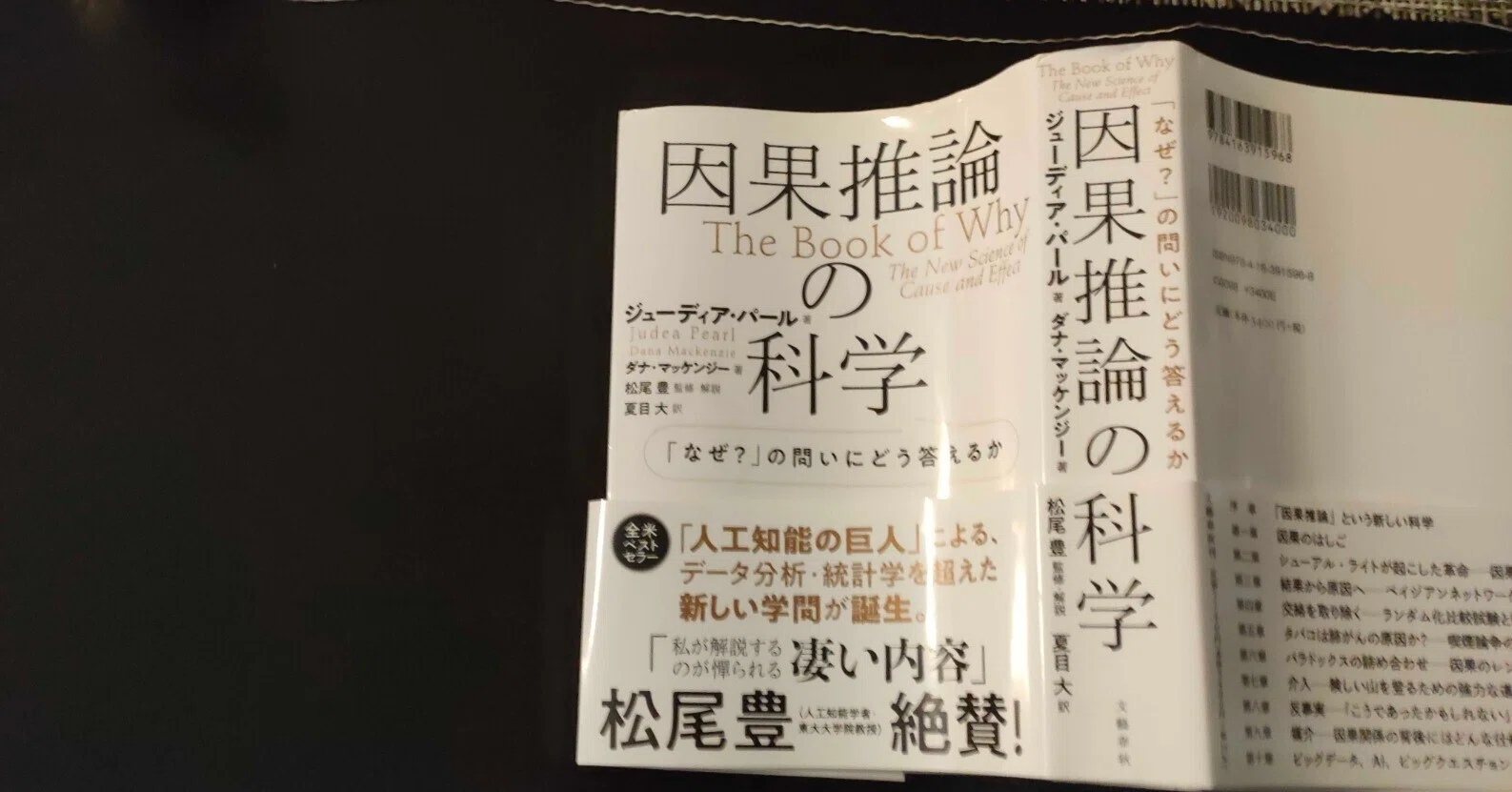 因果推論の科学」を読んで、ちょっとAIの部分が古かったので、著者