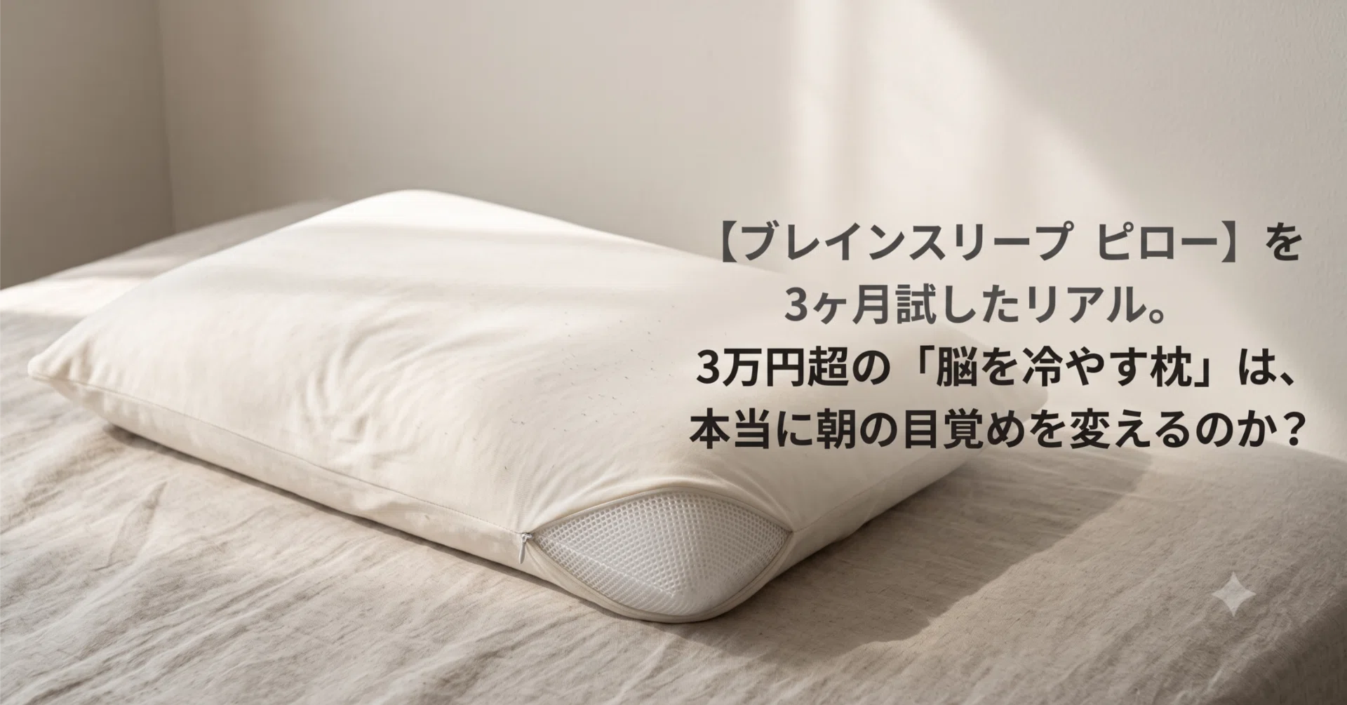 涼しい枕です 脳を冷やそう ブレインスリープピロー　LOW ブレインスリープ ピロー】を3ヶ月試したリアル。3万円超の「脳を