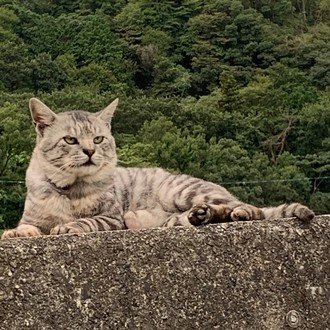 トップに移動