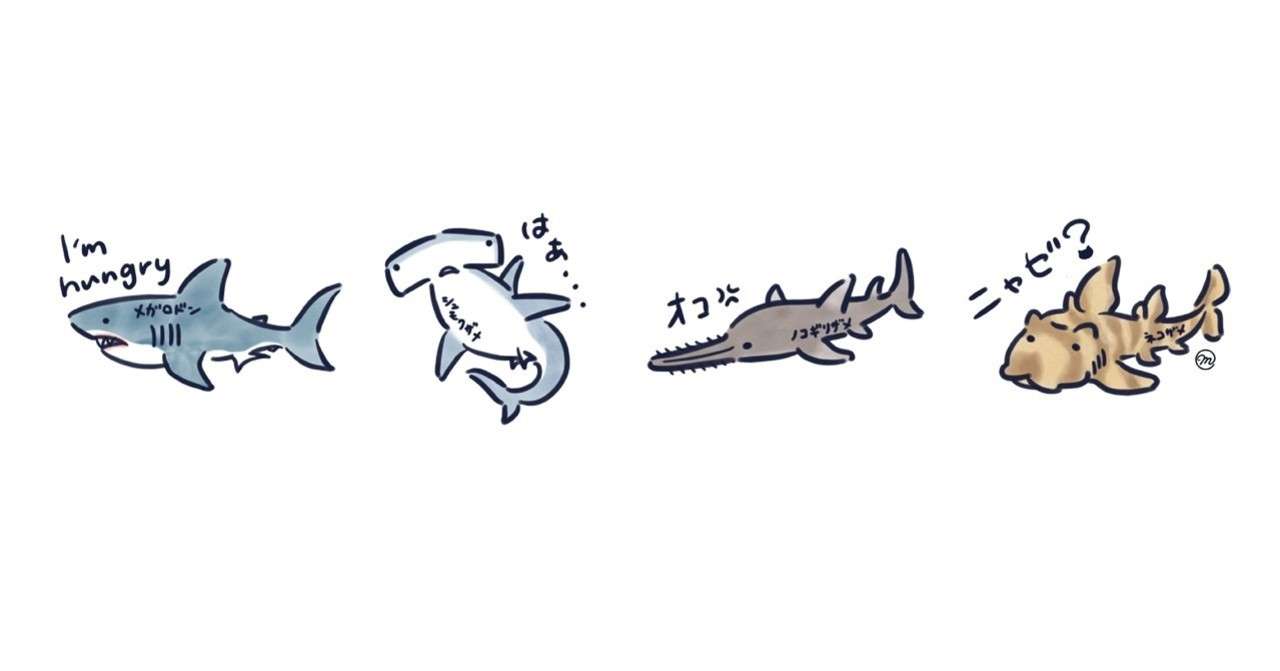 海の生き物 シュモクザメ編 まりか博士 Note