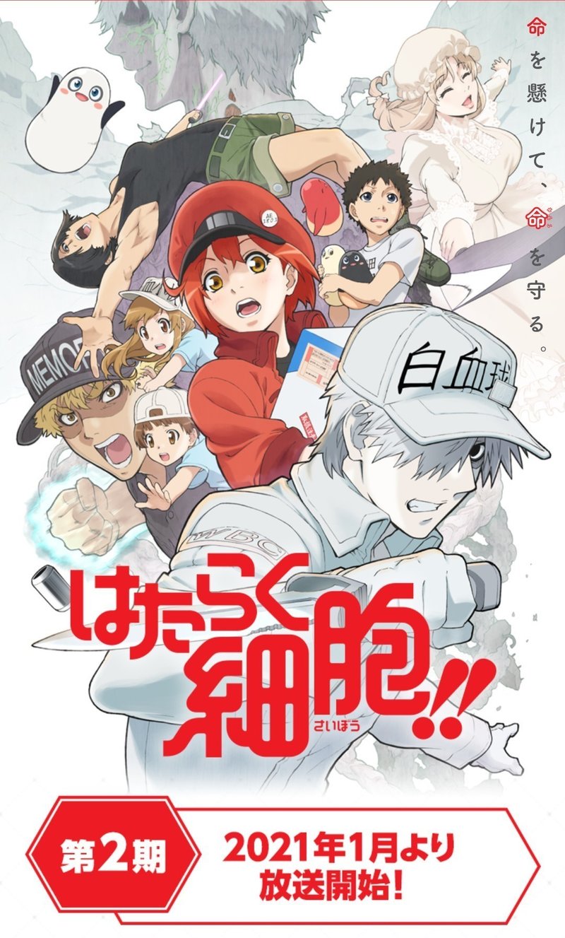 アニメ はたらく細胞 見どころ紹介 ヌマサン Note