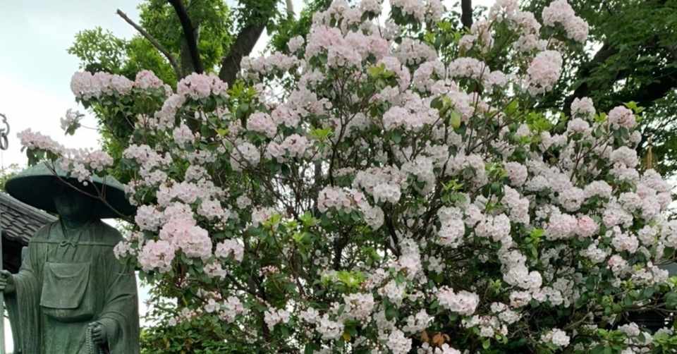 鶴見散歩 生麦事件発生現場へ シラちゃん Note