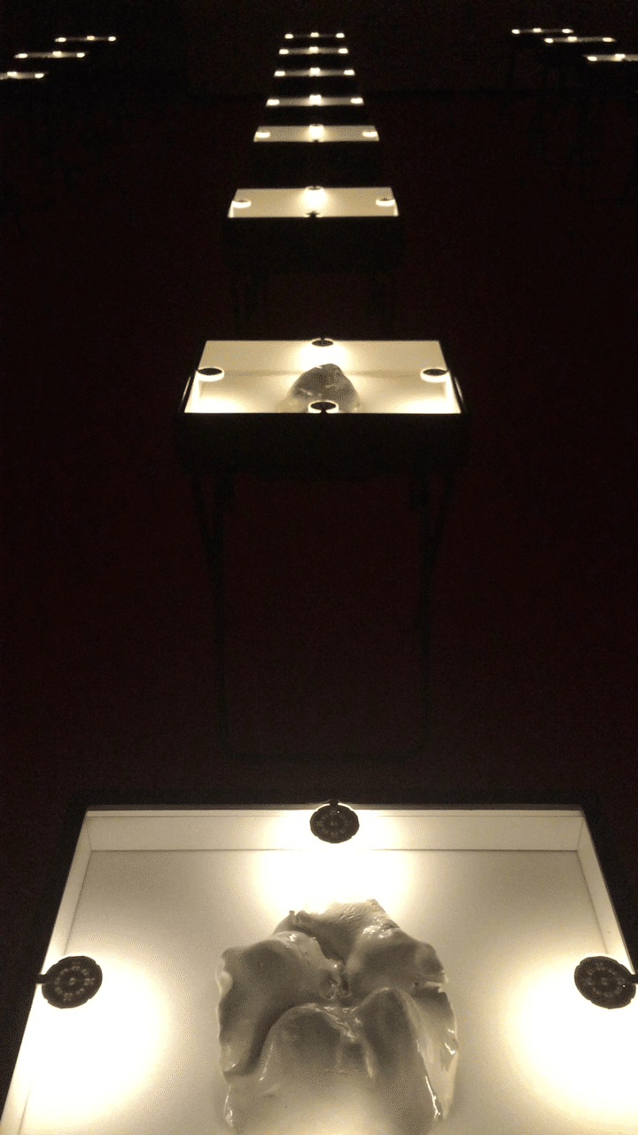 無題」鴻池朋子2010年【複製】 無題」鴻池朋子2010年【複製