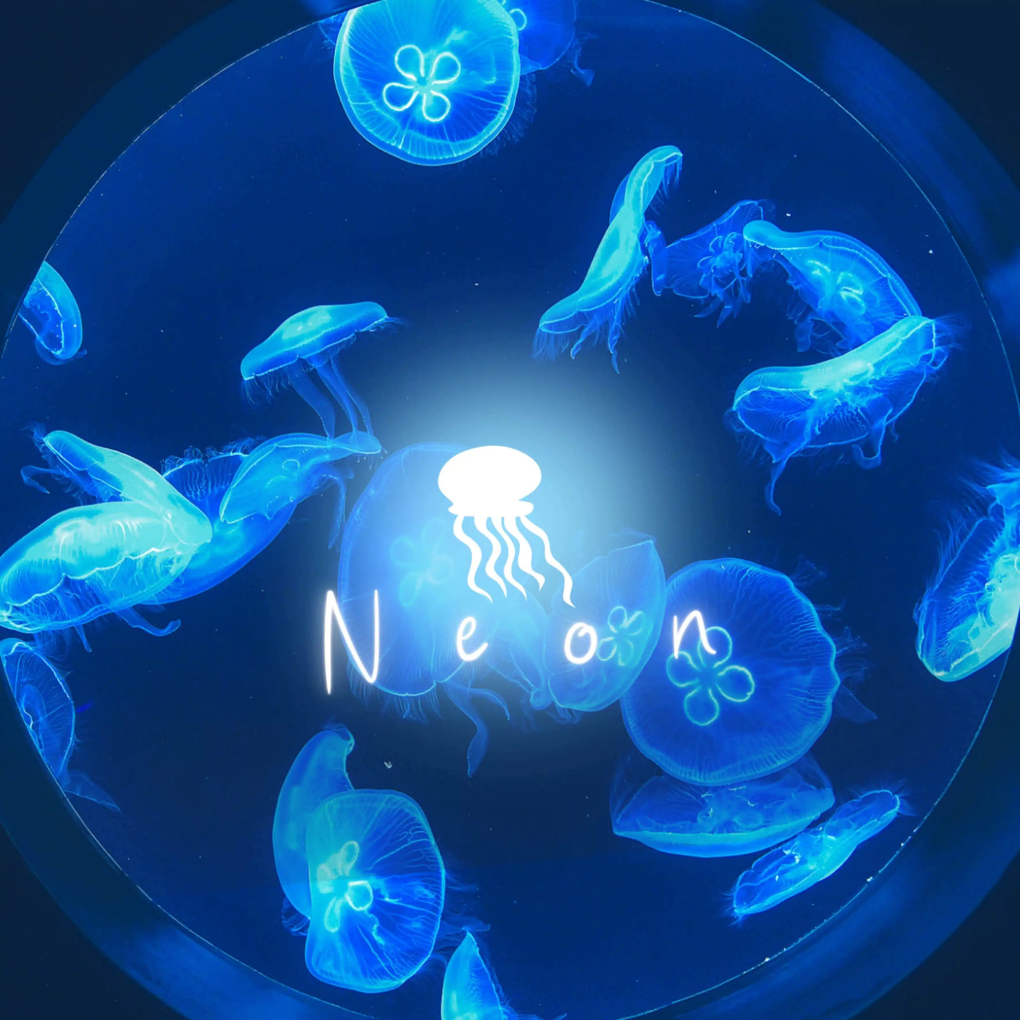 Neon/夢を追う途中/いいね返し