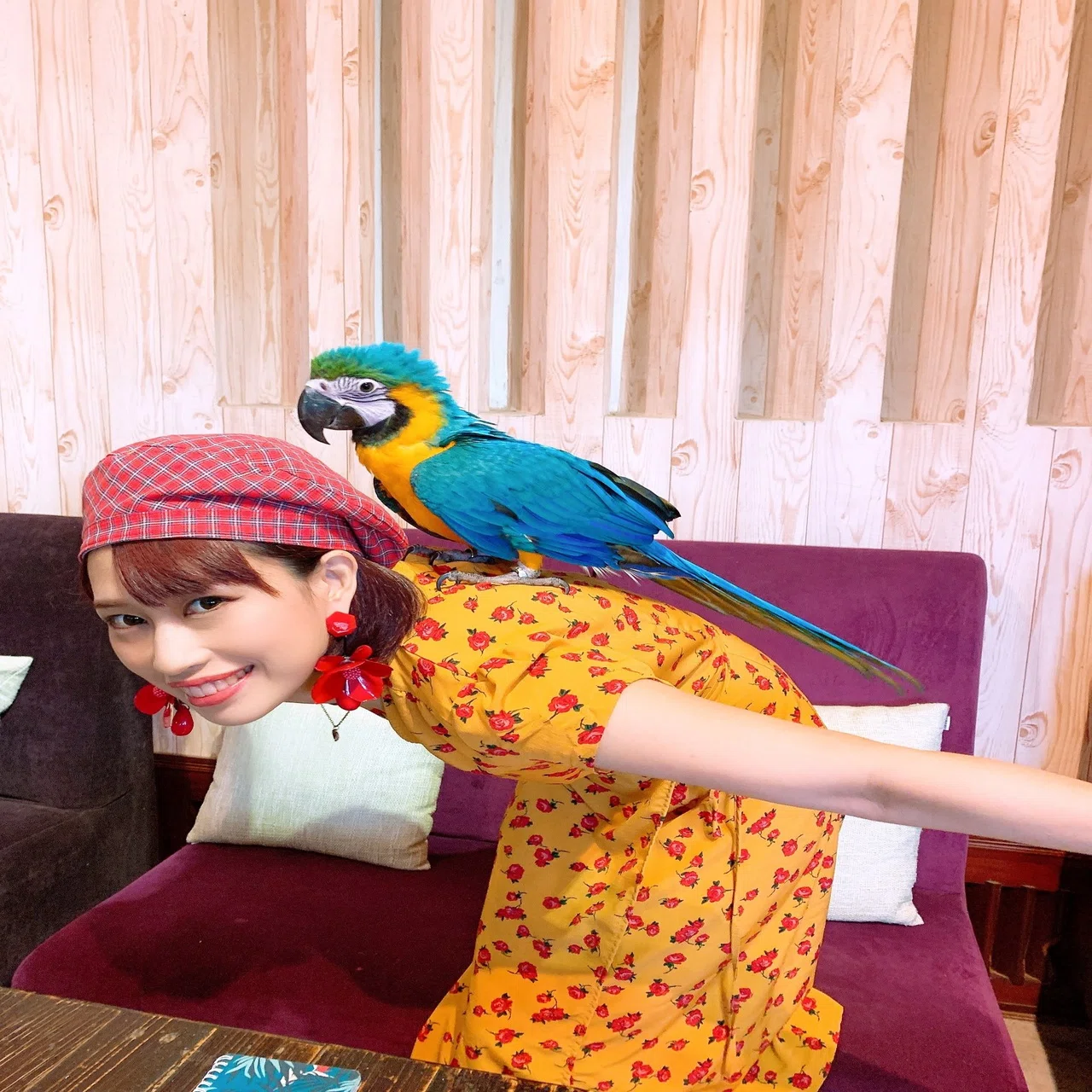 極彩色の鳥たちと触れ合える楽園のようなカフェ｜三上ナミ
