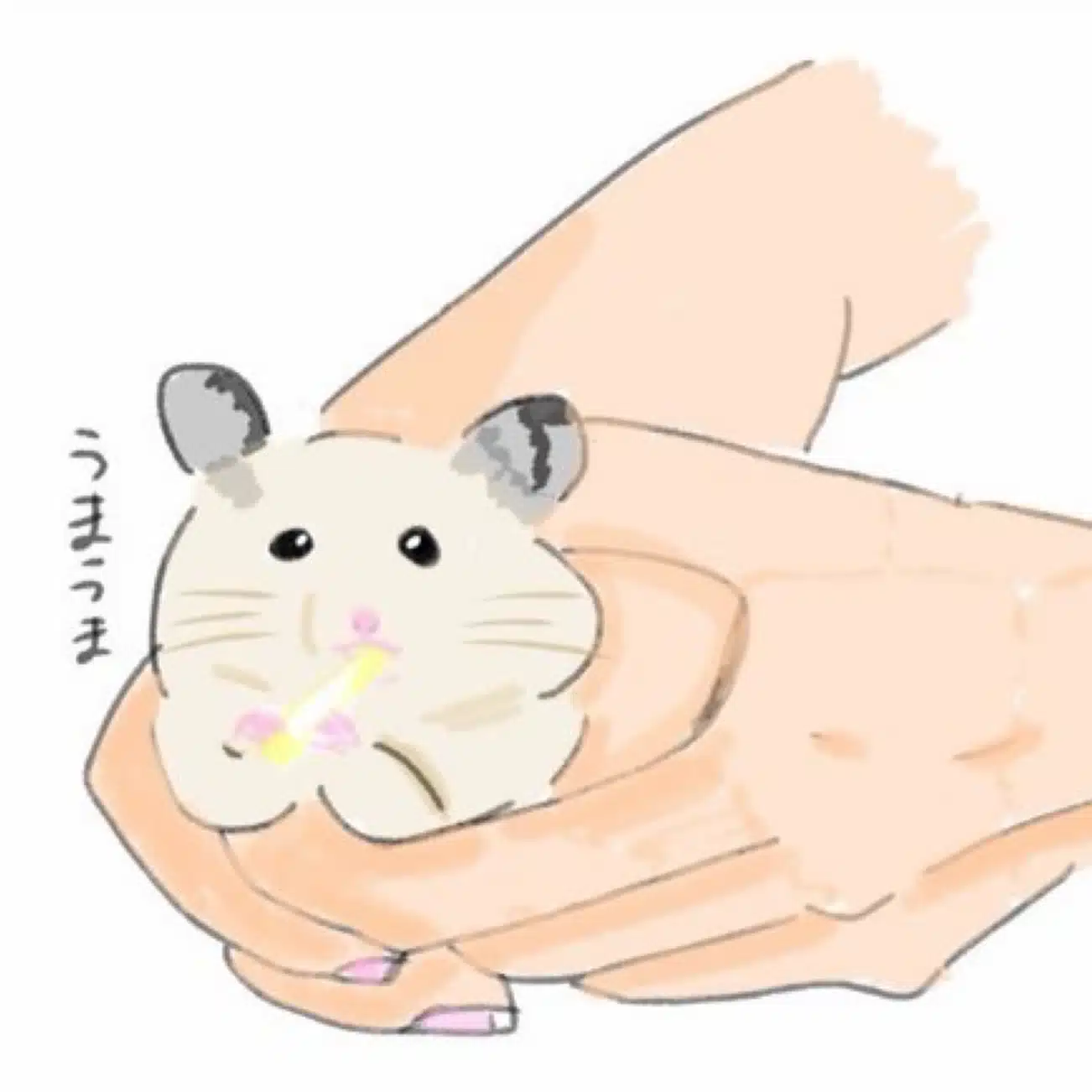 はろ