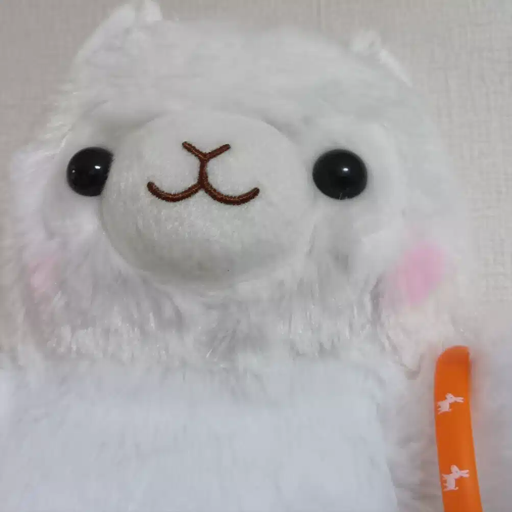 律之風