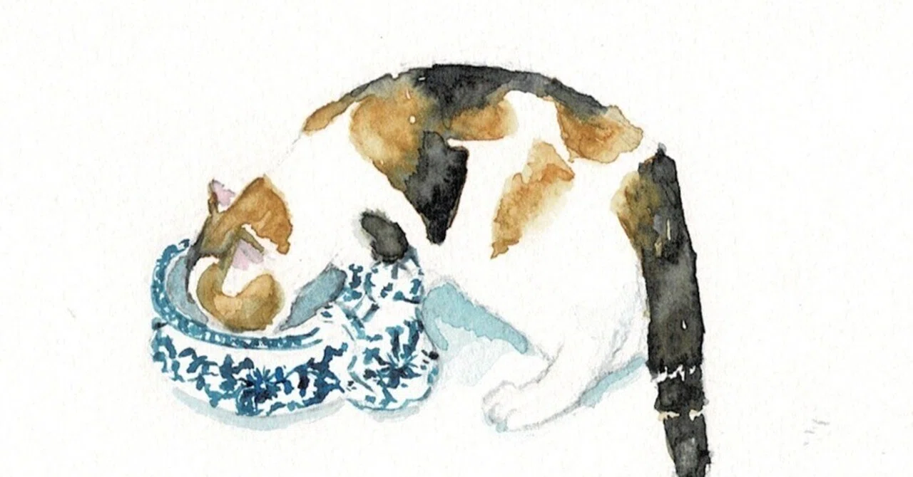 猫カフェイラスト(透明水彩)｜kamo