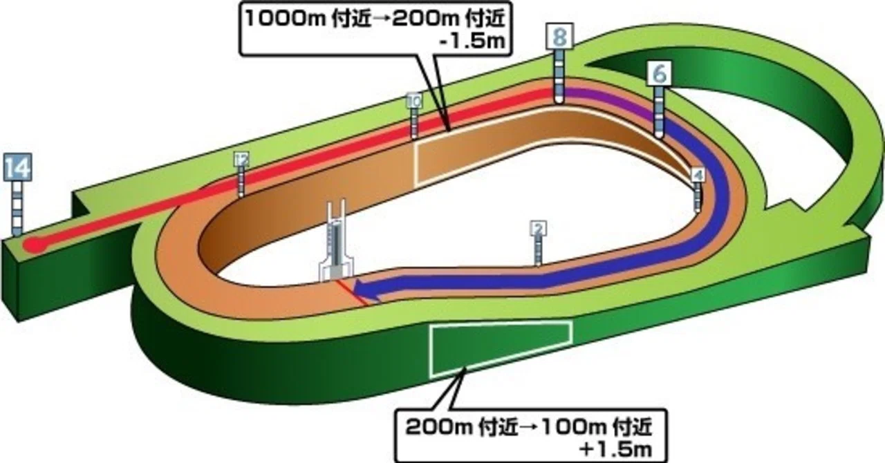 7/12(日) 阪神競馬場 馬場状態＆全レースコース分析+α 随時更新｜JRDB